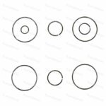 Комплект уплотнительных колец тифлон DP0 AL4 PRICISE